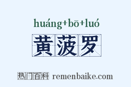 黄菠罗是什么意思的图片